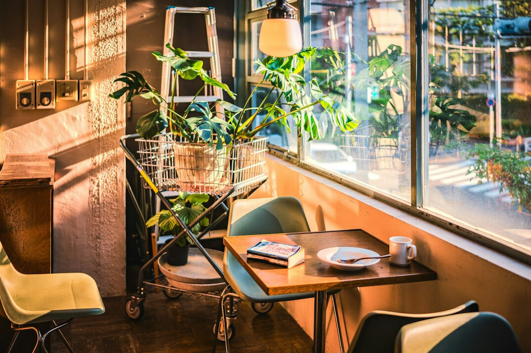Cozy cafe interior with plants and warm light