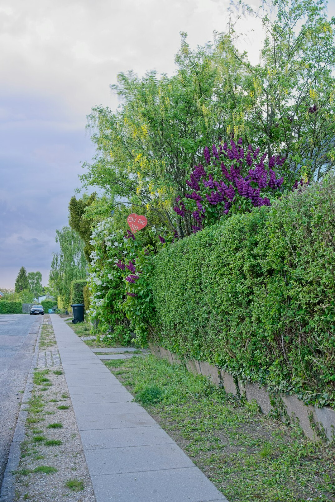copenhagen neighborhood street