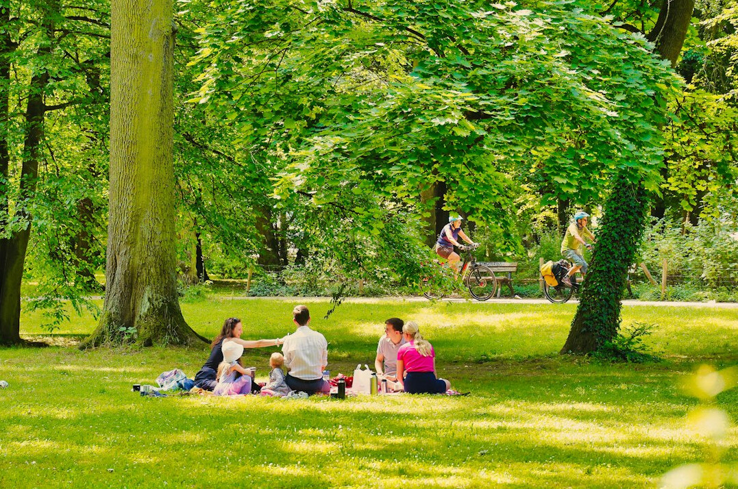 Family having a picnic in a sunny park