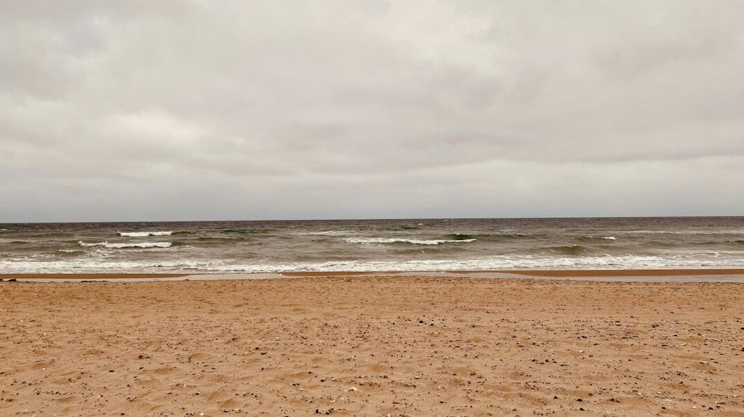 danish beach family picnic