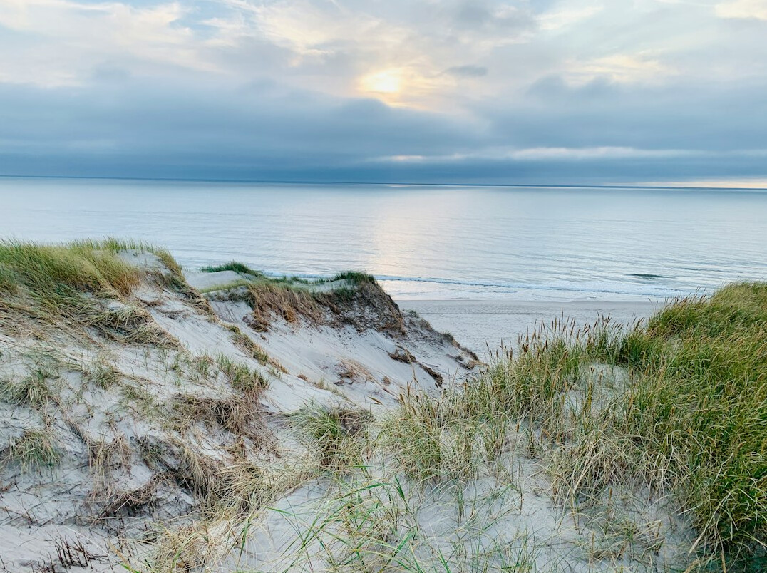 danish beach family picnic