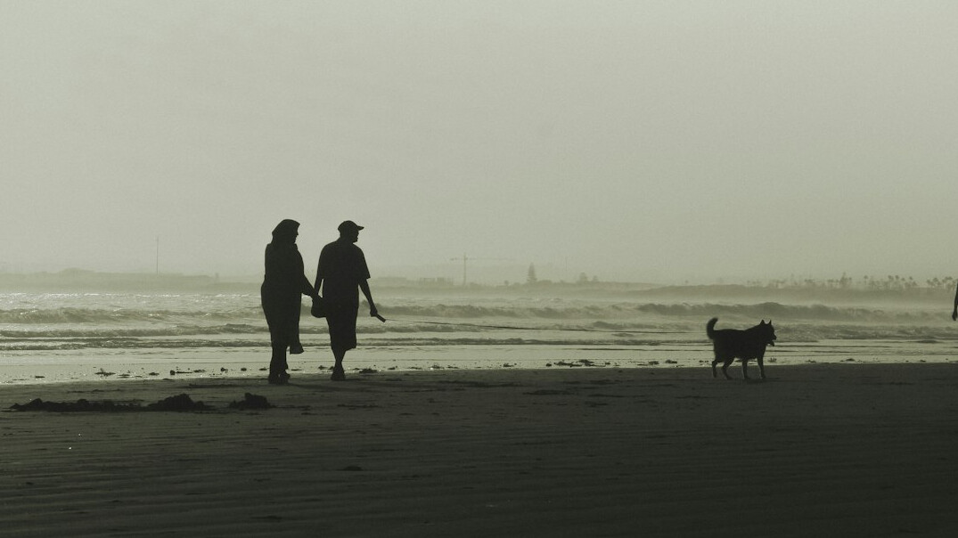 people walking dog on beach