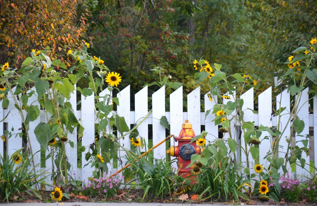 neighbor garden fence
